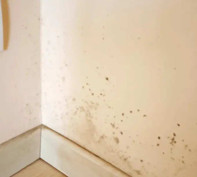 before-image
