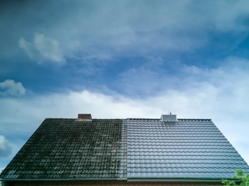 nettoyage diogene lassay les chateaux