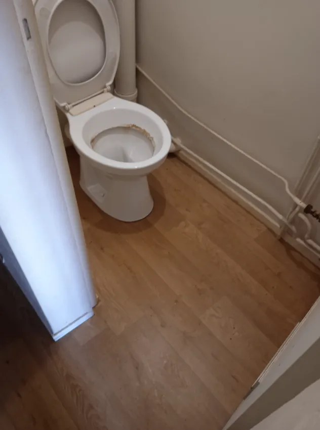 after-image