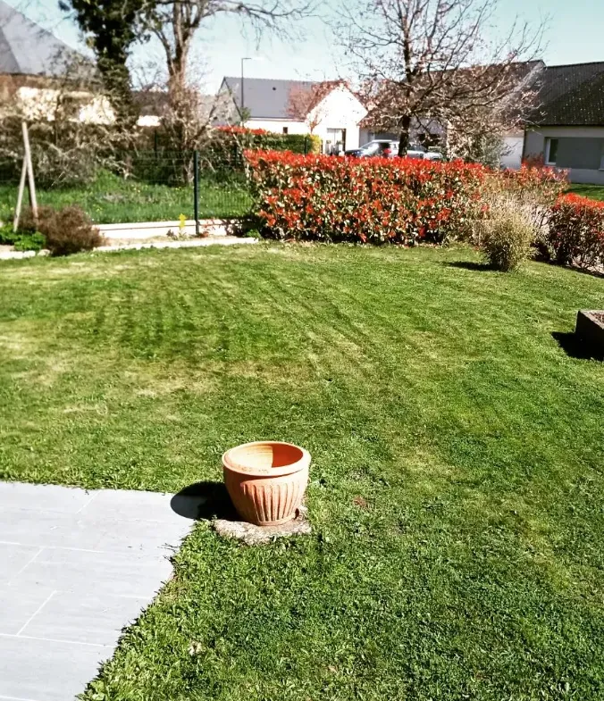 nettoyage toiture bagnoles de l orne