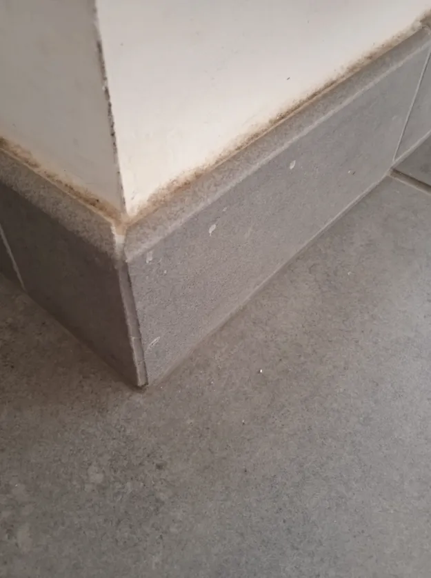 before-image