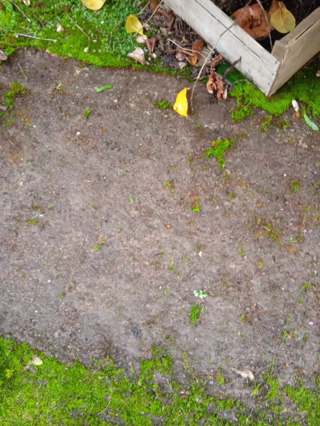 after-image